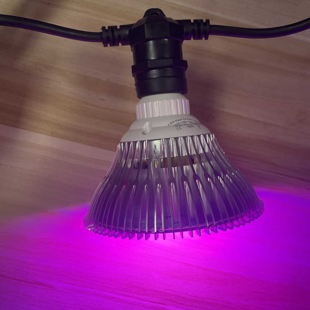 Cabo de LED de 10M à prova d'á - Waterproof Led Strip avaliação e preço